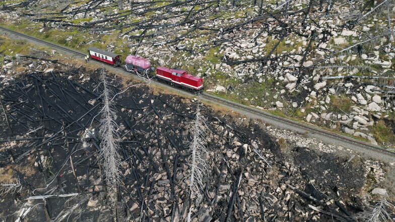 Am Brocken im Harz ist der Feuerwehreinsatz nach dem großen Waldbrand offiziell beendet worden.