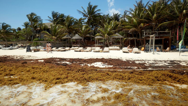 Blick auf einen Strand in Tulum: Riesige Algenteppiche werden hier angespült.