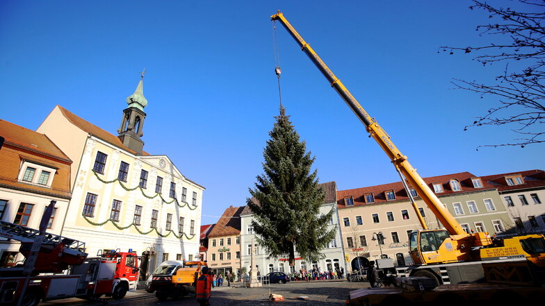 Das Aufstellen des Weihnachtsbaumes auf dem Marktplatz ist jedes Mal ein Spektakel. Dutzende Radeberger verfolgen das Schauspiel.