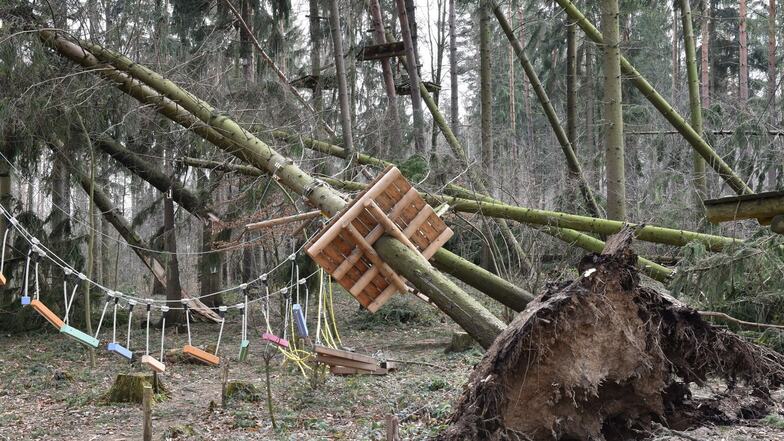 Die Betreiber des Waldseilparks in Paulsdorf  wollten eigentlich in ihre zehnte Saison gehen. Doch mit dem Jubiläum wird es nichts. Sturm Eberhard hat am Sonntag dieses Waldstück mitsamt dem Park zu großen Teilen zerstört.