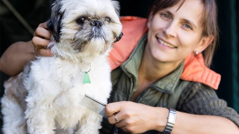 Bleib! Daniela Richter vom Zoofachgeschäft Pet-Farm Neustadt frisiert Hund Nicolai.