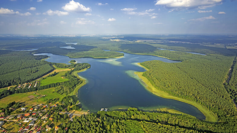 1117 Seen verweben sich zu einem Netz oder liegen einsam im Wald. Credit: 1000seen.de/Blossey