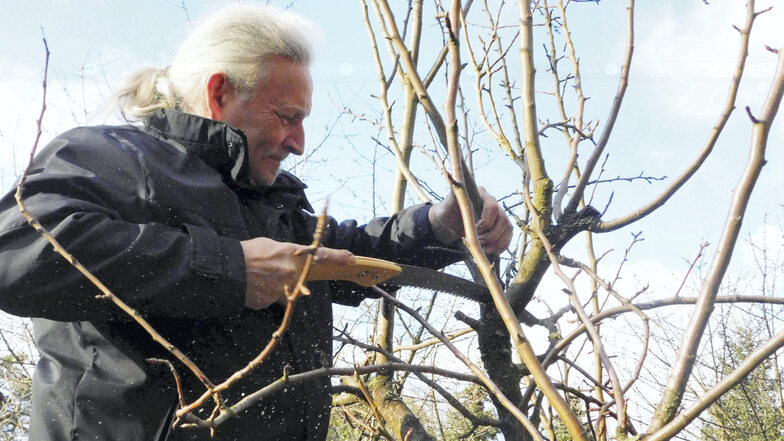 Jens Hofmann ist gelernter Baumschulgärtner und Gartenbauingenieur, leitete bis 2014 den Ostdeutschen Rosengarten Forst und bietet nun Gehölzschnitte nach den Gesetzen der Natur in Theorie und Praxis an. Das Angebot ist kostenlos, erfolgt wegen der Pand