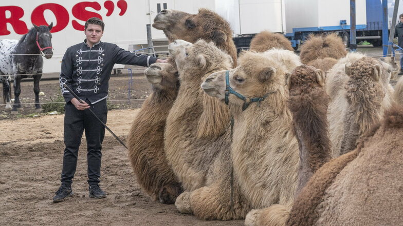 Marlon Schmidt bei der Kameldressur im Winterlager. Trotz Zwangspause muss regelmäßig trainiert werden.