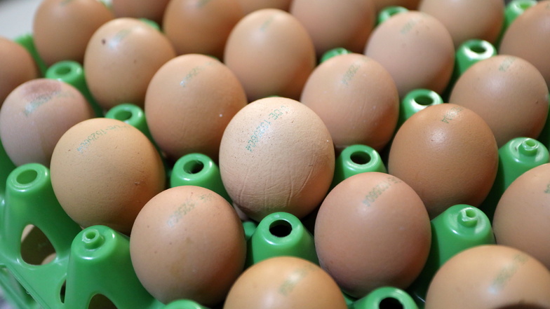 Gleich mehrere Faktoren treiben  derzeit die Eierpreise nach oben.