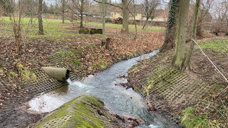 Der Niederauer Dorfbach, der am Schloss vorbei fließt, wird später den Wassergraben wieder auffüllen.