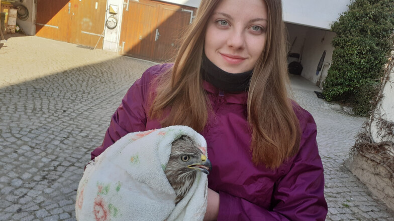 Wenn Tochter Marie einen verletzten Vogel findet: Am Wochenende hatte SZ-Redakteur Matthias Klaus deswegen einen ungeplanten Einsatz.