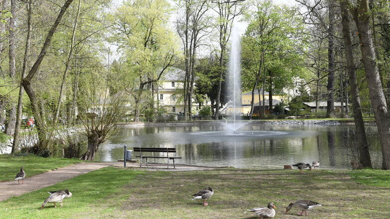 Der Teich im Kurpark Kreischa mit seiner Fontäne - diese musste abgestellt werden.