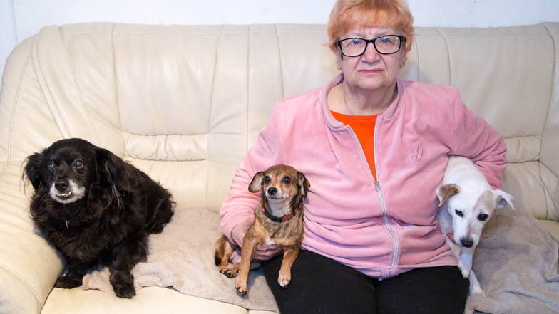 Barbara Pinkert ist froh, dass ihr zumindest Noroka, Mami Mausi und Jacky geblieben sind. Mitte Januar holte das Veterinäramt des Landkreises insgesamt 41 Hunde und weitere Tiere vom Hof ihrer Tochter Simone in Gebelzig.