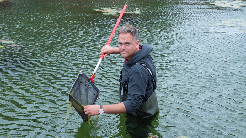 Auf Sauberkeit bedacht: Schwimmmeister Martin Lehmann fischt die Algen aus dem Regenerationsbecken. Am Reinigungsprozess wolle man im nächsten Jahr verstärkt arbeiten.