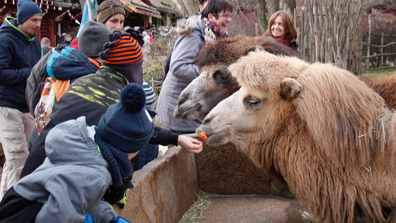 Görlitz: Weihnachtsmann kommt in den Tierpark