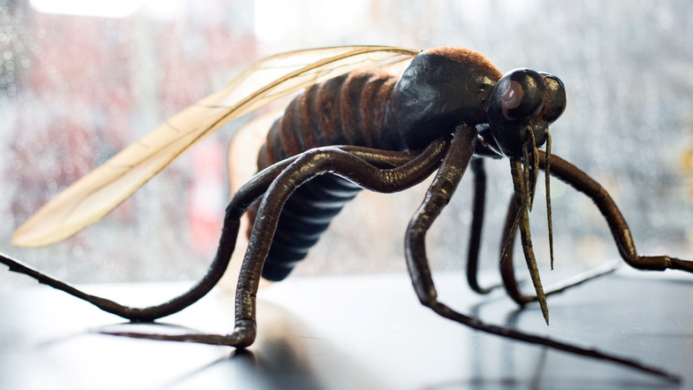 Das Modell einer Stechmücke: Das West-Nil-Virus wird durch diese Insekten übertragen.