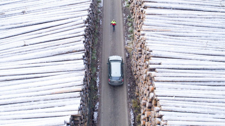 Mehrere Tausend Baumstämme liegen von einer dicken Eisschicht überzogen an einem Lagerplatz im Harz. Die bis zu 140 Jahre alten Fichtenstämme waren dem Sturm Frederike im Frühjahr zum Opfer gefallen und müssen aufgrund des übersättigten Holzmarktes nun au