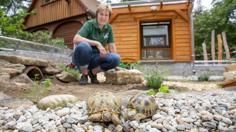 Neue Schildkrötenanlage in Bischofswerda öffnet zum Tierparkfest
