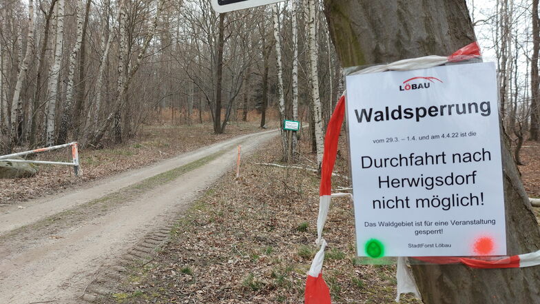 Die Stadt Löbau hat den zum Stadtwald gehörenden "Großen Jäckel" für den Durchgangsverkehr gesperrt. Grund sind Dreharbeiten.