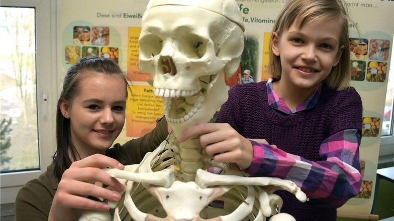 Josefine und Annika lotsen die künftigen Fünftklässler durch das Biologie-Fachkabinett der Waldheimer Oberschule.
