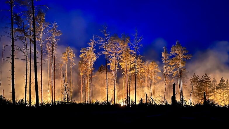 Flammen erhellen nachts ein Waldstück nahe des brandenburgischen Jüterbog: Auch in diesem Jahr brennen in Deutschland wieder Wälder.