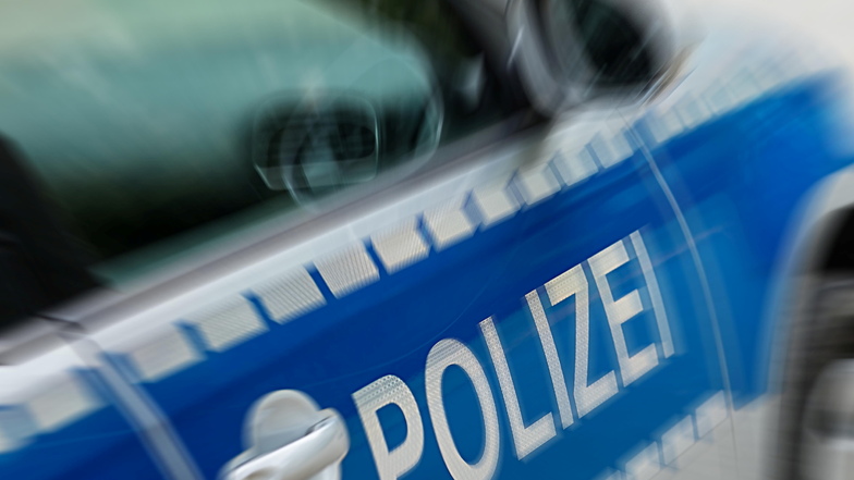 Polizisten fangen entlaufenes Pony in Dresden-Klotzsche ein