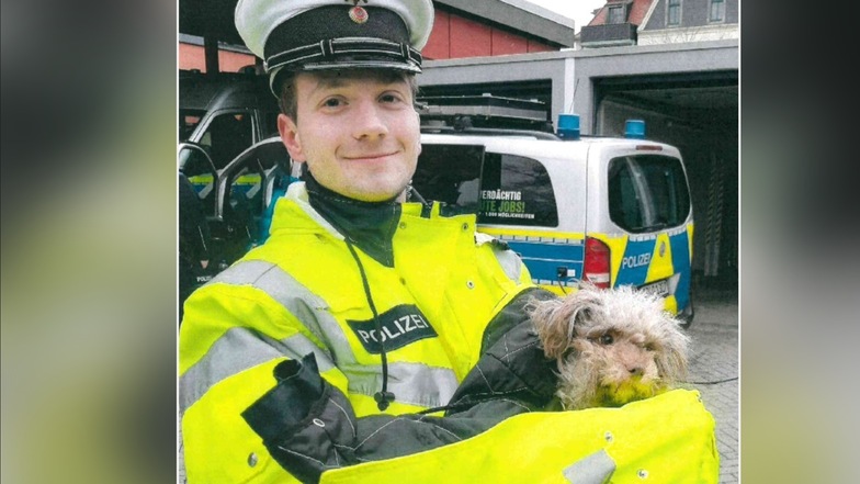 Dresdner Autobahnpolizei rettet Hund von der A4