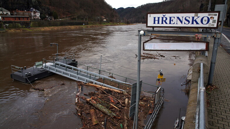 Schwemmgut staut sich an der Fähranlegestelle in  Hrensko.