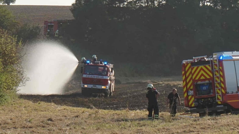 Am frühen Sonntagabend müssen die Kameraden der Döbelner Ortswehren erneut zu einem Feldbrand ausrücken.