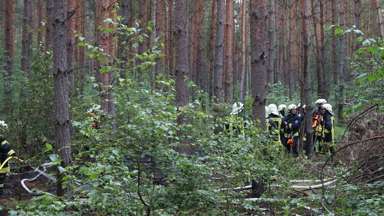 Um Waldbrände wie diesen im Landkreis Bautzen frühzeitig zu erkennen, sollen weitere Kameras in den Wäldern installiert werden.