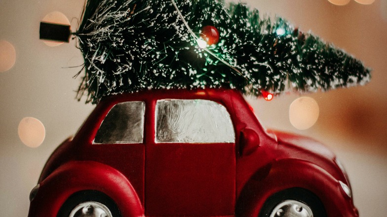 Die Suche nach dem Weihnachtsbaum ist für Viele Tradition, ist nur manchmal gar nicht so einfach.