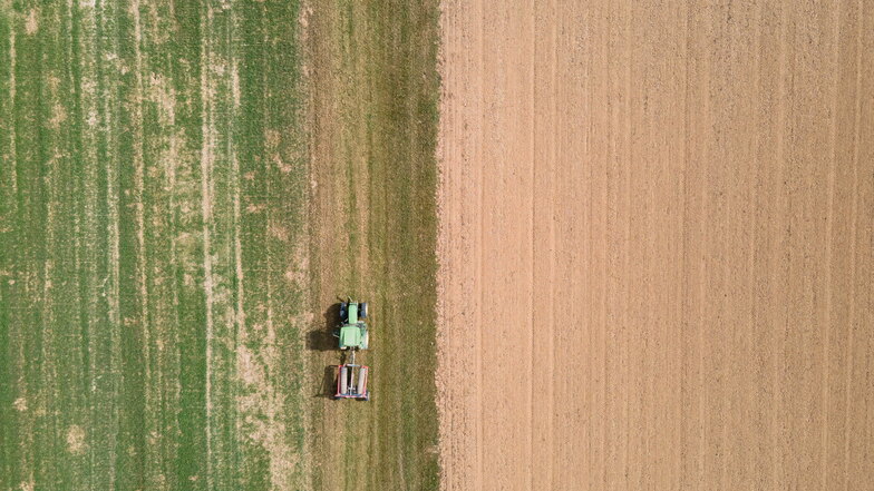 Klimawandel macht Sachsens Landwirten und Feldfrüchten Stress