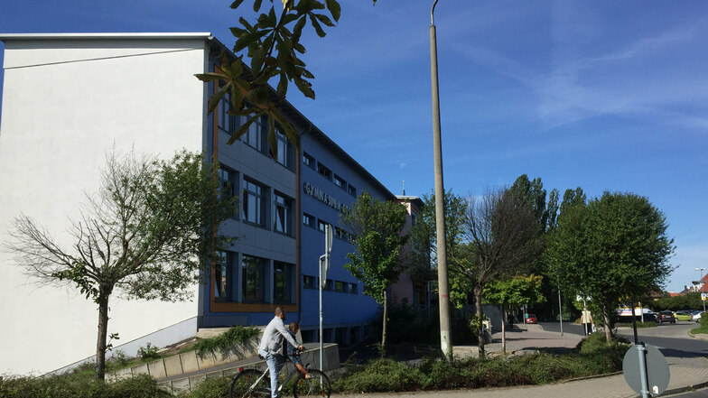 Dieser Baum am Gymnasium Coswig steht symbolisch für den Hitze- und Trockenstress, denen viele Bäume und Sträucher nach drei teils heißen Sommern ausgesetzt sind.