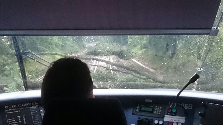 Unter anderem zwischen Bischofswerda und Dresden blockierten umgestürzte Bäume die Bahnstrecke. Die Länderbahn stellte daher den Zugverkehr ein.