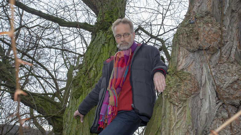 "Sieht einfach stark aus": Der Tharandter Forstprofessor Andreas Roloff ist mit der Wahl der Robinie als Baum des Jahres 2020 sehr zufrieden.