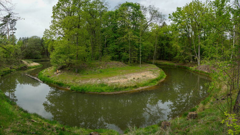 Am Mäander Lömischau hat die Spree ihr altes Bett wieder erhalten, die einst geschaffene Begradigung des Flusslaufes wurde geschlossen und ist nur als Hochwasserüberlauf erhalten geblieben.