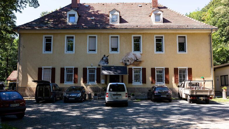 Das Tierheim auf dem Freitaler Windberg hat Geldsorgen.