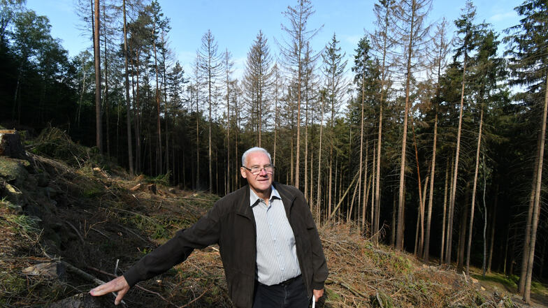 Siegfried Leuner vor den Resten seines Waldes: Fast dreieinhalb Hektar Fichten musste er wegen des Borkenkäfers fällen lassen.