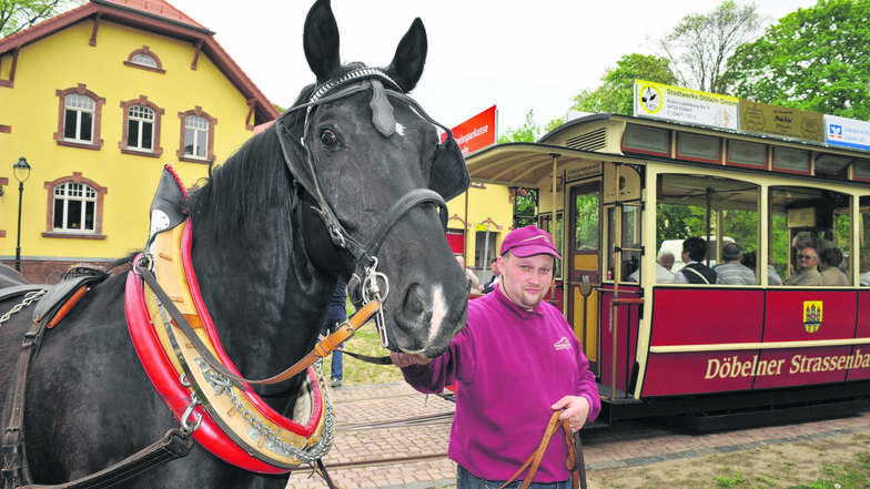 Kutscher Mario Lommatzsch steht mit Pferd Elko vor dem Pferdebahnmuseum.