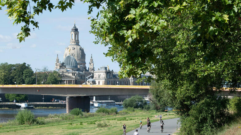 Radfahrer sind auf dem Elberadweg in Dresden unterwegs.
