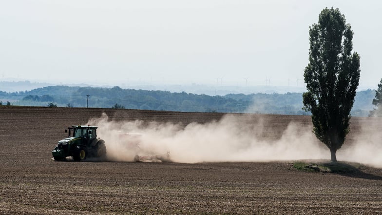 Auch die Landwirtschaft in der Lausitz leidet zunehmend. Die Böden trocknen aus, Staubwolken werden zu ständigen Begleiter der Bauern.