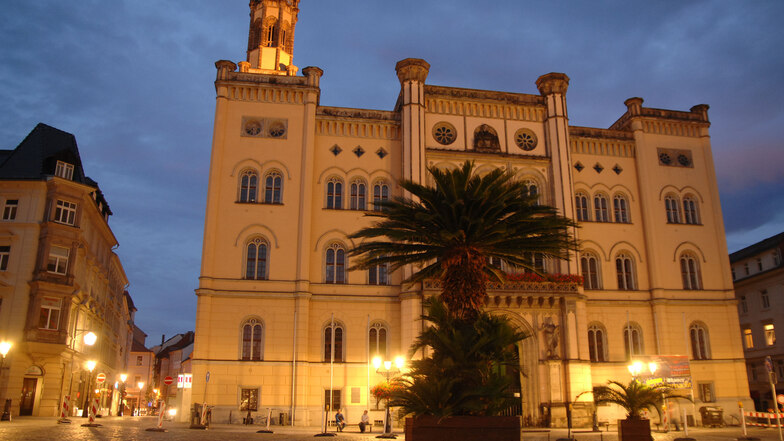 Die Palmen stehen bald wieder vor dem Zittauer Rathaus.