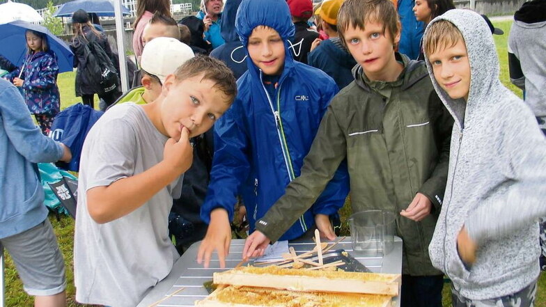 Mio, Linus, Lukas und Jannis (v.l.n.r.) aus der 3. Klasse der Pestalozzi-Grundschule Weißwasser kosten den ersten Stadthonig, den ein Bienenvolk der Stadtwerke Weißwasser GmbH (SWW) produziert hat. Der ist echt lecker, sind sie sich einig. Und obendrein