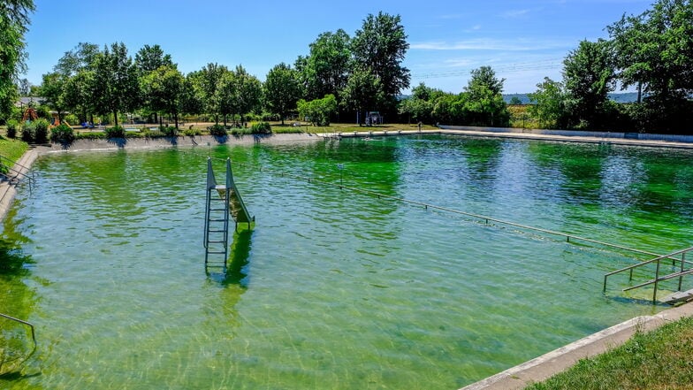 Auch im Elbgaubad in Weinböhla wurden Blaualgen nachgewiesen.