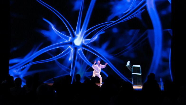 Am 18. März 2023 wird das Electric Dance Theatres in Meißen mit seiner Hologramm-Show „Unter dem Meer in Meißen“ gastieren. Kleine wie große Besucher können Käpt'n Floyd auf seiner Expedition zu Fischen, Korallen und Krebsen begleiten.