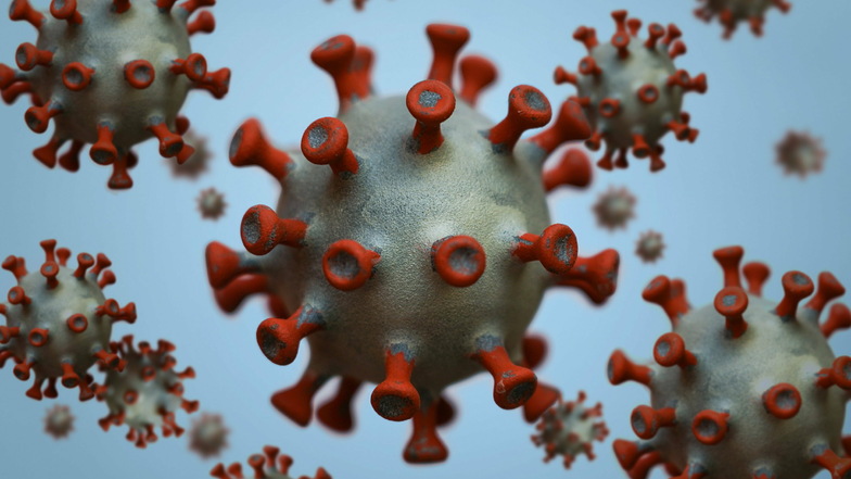 Modelle eines Coronavirus.