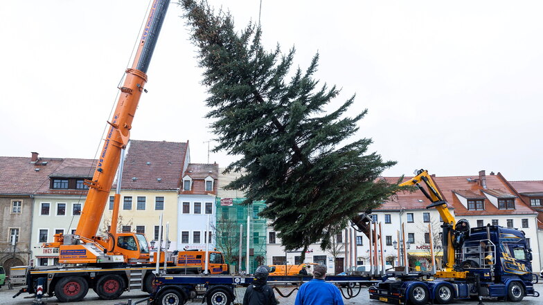 Mit schwerer Technik wurde der Weihnachtsbaum auf dem Dippoldiswalder Markt platziert.