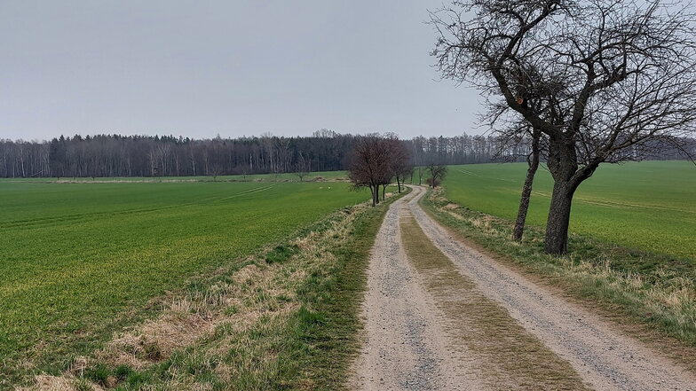 Ein unscheinbarer Feldweg führt zum Großen Jäckel und damit zum Drehort für die Thriller-Serie "Oderbruch", für die gerade zwischen Ottenhain, Ebersdorf und Herwigsdorf gedreht wird.