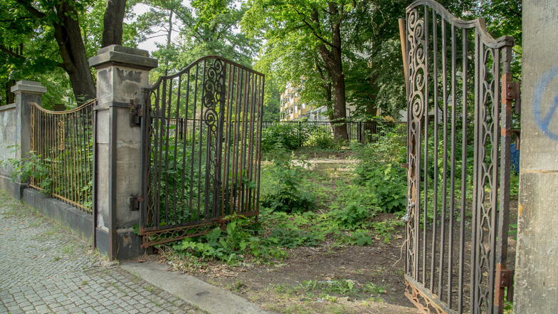 Das ist der Eingang zum alten Sportplatz am Mühlweg in Görlitz. Das Gelände soll wieder bebaut und der historische Zaun erhalten werden.