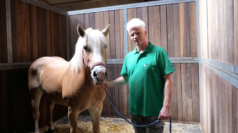 Nachtdienst im Nossener Stall: Einzige Großtierklinik der Region feiert Geburtstag