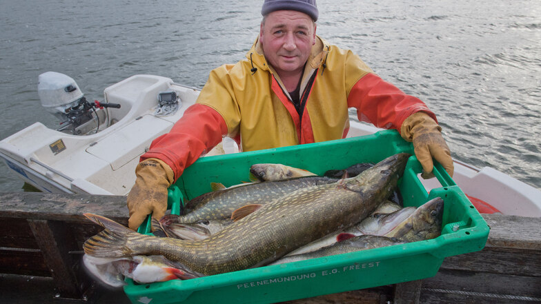 Im vorigen Jahr hatte die Fischereigenossenschaft in Stahlbrode noch neun Fischer, Anfang 2019 noch drei. Jetzt ist Ralph Krehl alleine, die Genossenschaft löste sich auf.