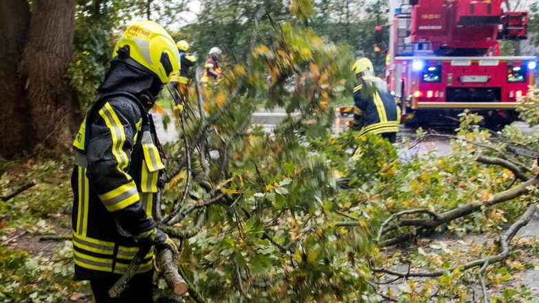 Die Feuerwehr muss wegen des Sturms abgebrochene Äste und umgeknickte Bäume an den Bahnstrecken beseitigen.