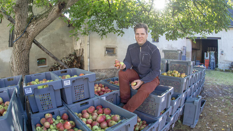 Bereit zum Keltern: Die Äpfel verarbeitet Dominic Sonntag für seine Kunden zu Saft.