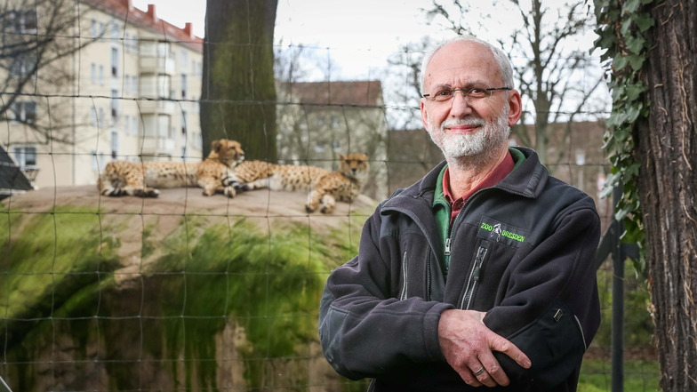 Fast 40 Jahre im Dresdner Zoo: "Ich bin mit Gorilla Benno nach Mexiko geflogen"